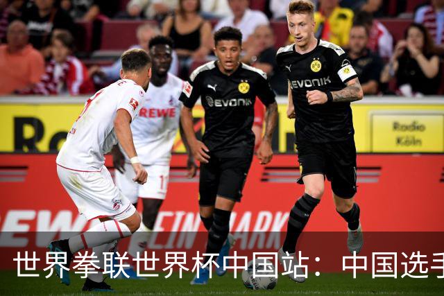 世界拳联世界杯中国站：中国选手斩获5金