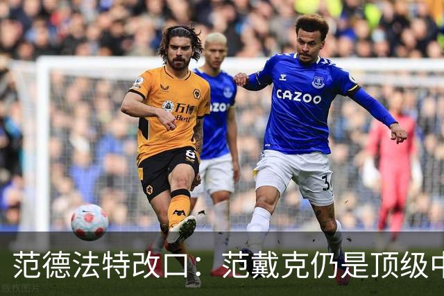 范德法特改口：范戴克仍是顶级中卫，他还是我们荷兰队的核心
